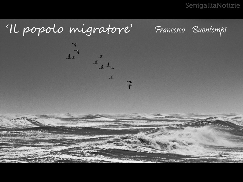 29/03/2014 - Il popolo migratore