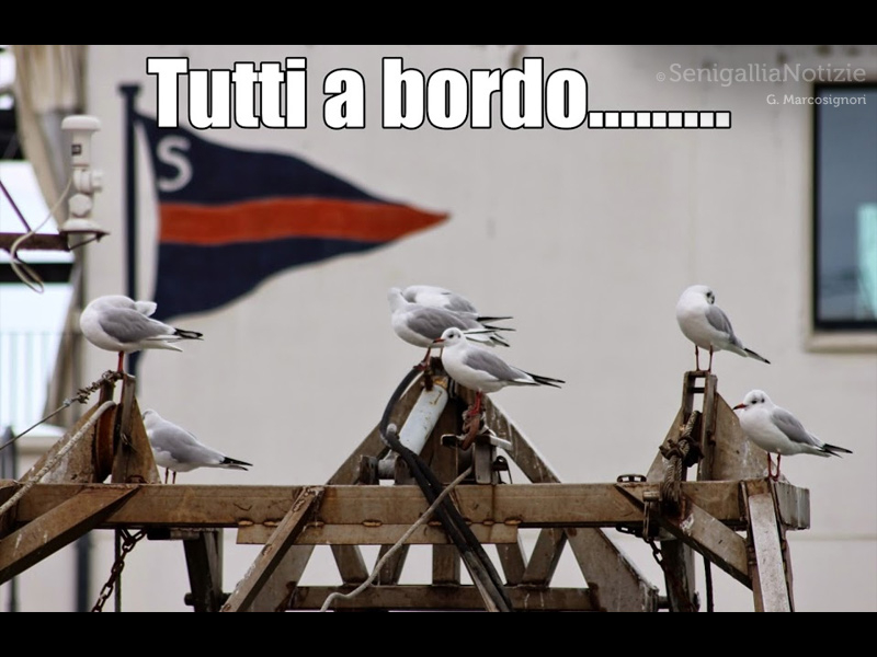 06/11/2014 - Tutti a bordo........