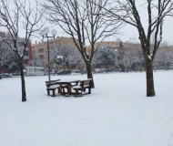 Seconda nevicata a Senigallia: foto dei lettori