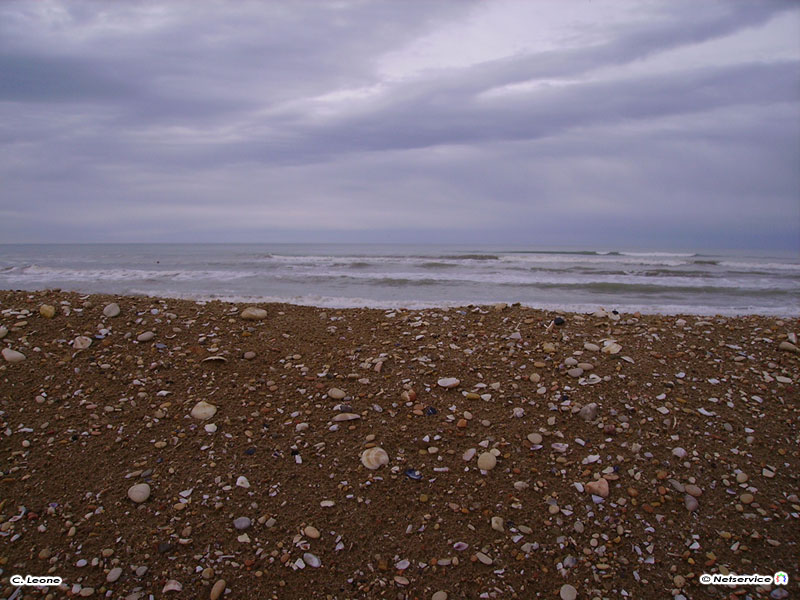 06/11/2009 - Duna di sabbia a riva della spiaggia