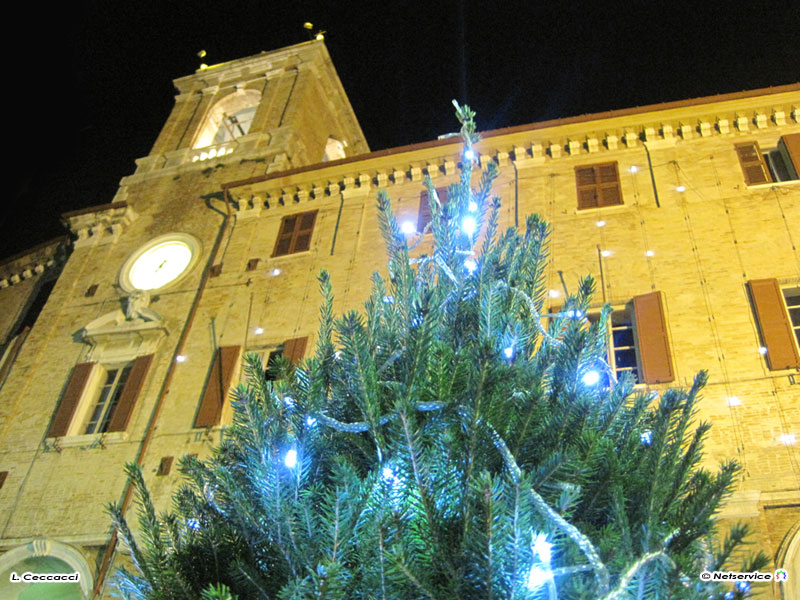 Albero di Natale davanti al Municipio di Senigallia, in piazza Roma