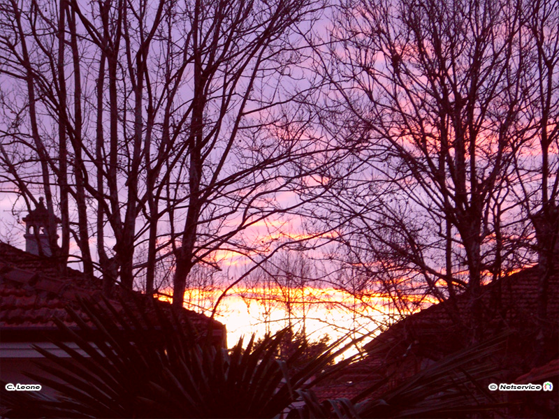 18/01/2011 - Tramonto tra alberi e case a Senigallia