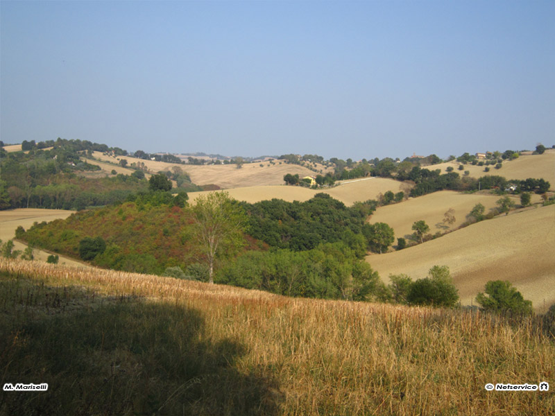 04/10/2011 - Campagna senigalliese