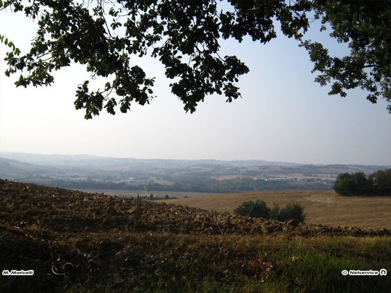 05/10/2011 - Campagna marchigiana tra Ostra e Senigallia